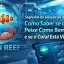 Segredos da Seleção no Aquarismo: Como Saber se o Peixe Come Bem e se o Coral Está Vivo